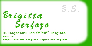 brigitta serfozo business card